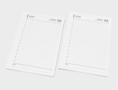 Miolo de Agenda A5 Sulfite 75g PB - Modelo Dois Dias por Página 2025 - 1x1 - 50 unid